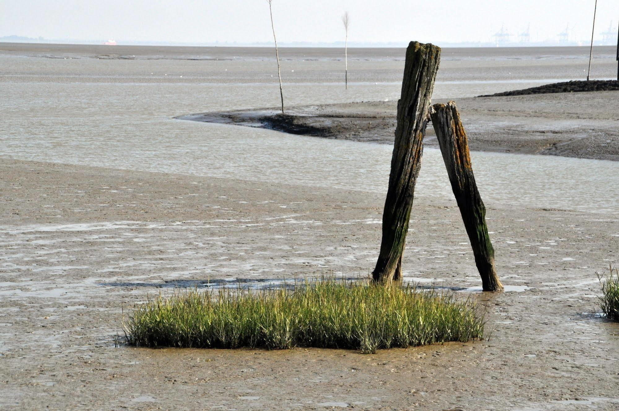 Strand Hotel Nordsee, Hotel Deichlaeufer Tossens Esterno foto